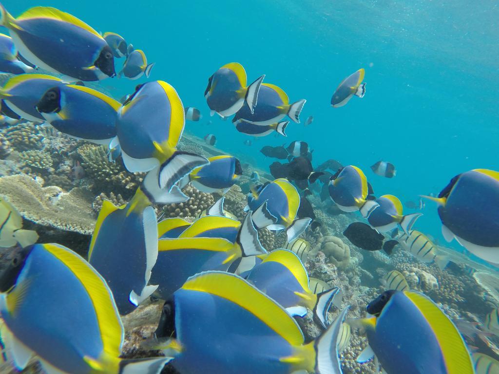 Rasdhoo Coralville Esterno foto