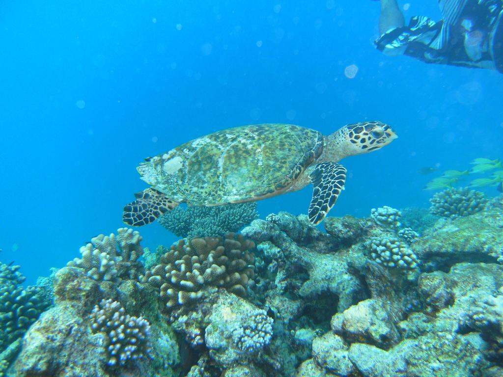 Rasdhoo Coralville Esterno foto