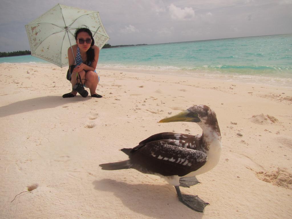 Rasdhoo Coralville Esterno foto