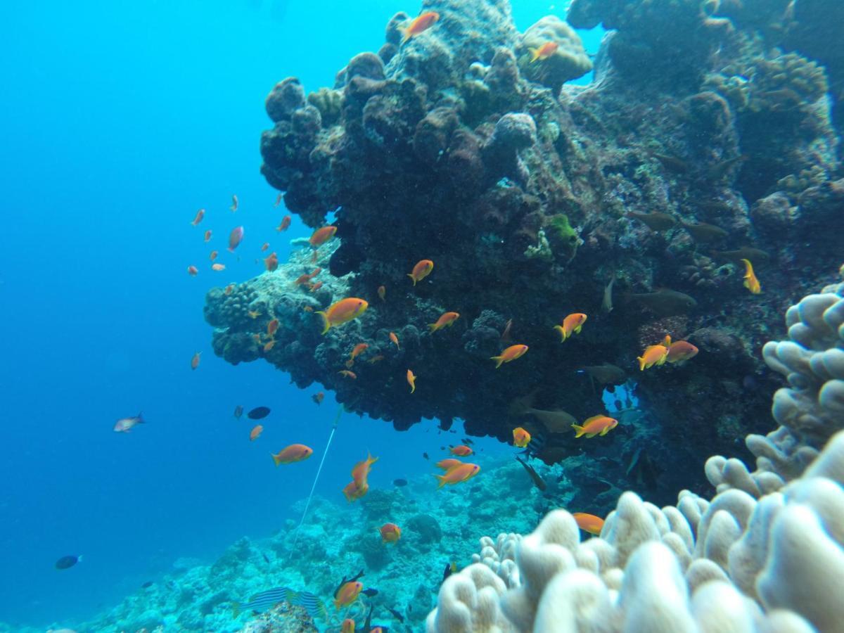 Rasdhoo Coralville Esterno foto